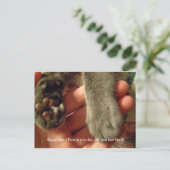 Carte Postale Meilleurs amis (Debout devant)