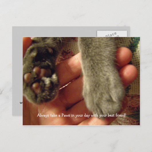 Carte Postale Meilleurs amis (Devant / Derrière)