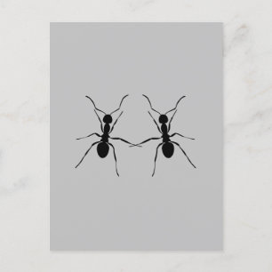 Carte Postale Meilleurs amis. Ant Couple