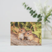 Carte Postale Meilleurs amis Baby Chipmunks (Debout devant)