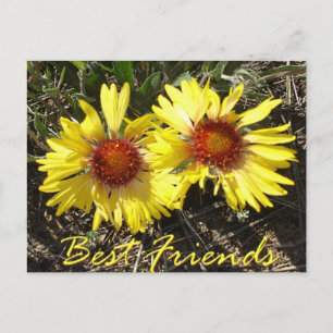 Carte postale Meilleurs amis Colorado Fleurs sauva