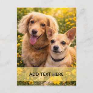 Carte Postale Meilleurs amis Dachshund et Chiweenie AJOUTEZ VOTR