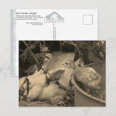 Carte Postale Meilleurs Amis, Peut-Être ? - (Devant / Derrière)