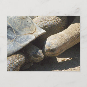 Carte Postale Meilleurs amis pour toujours