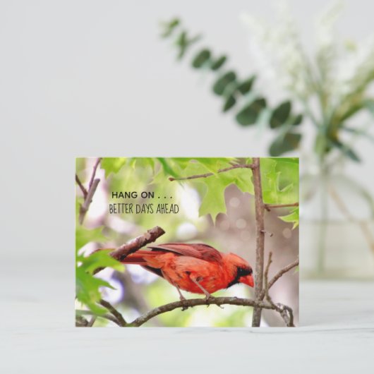 Carte postale Meilleurs Jours À Venir (Debout devant)