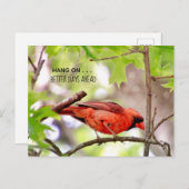 Carte postale Meilleurs Jours À Venir (Devant / Derrière)