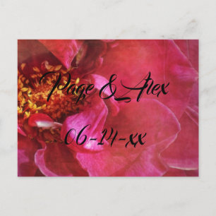 Carte Postale Meilleurs Vœux Nouveaux Mariés Mariage Destin Dest