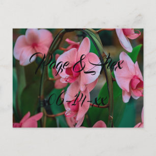 Carte Postale Meilleurs voeux Nouvelles mauvaises herbes Mariage