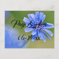 Meilleurs voeux Nouvelles mauvaises herbes Mariage