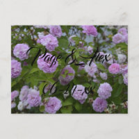 Meilleurs voeux Nouvelles mauvaises herbes Mariage