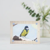 Carte Postale Meise en hiver (Debout devant)