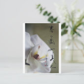 carte postale meitokai 4 (Debout devant)