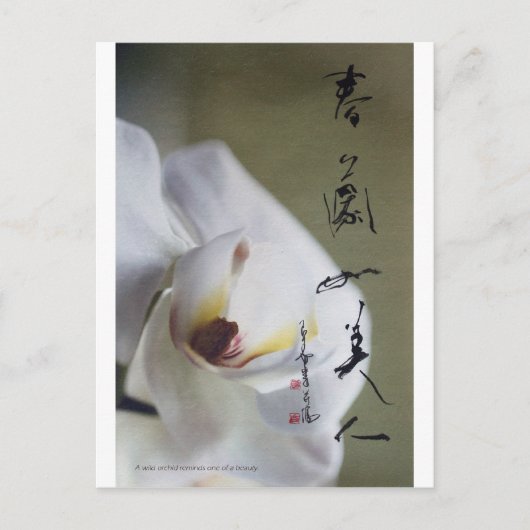 carte postale meitokai 4 (Devant)