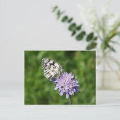 Carte Postale Melanargia galathea (Debout devant)