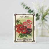Carte Postale mélange de phlox (Debout devant)