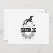 Carte Postale mélange de rivière otter (Devant / Derrière)