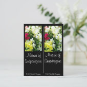 Carte Postale Mélange de Snapdragons (Debout devant)