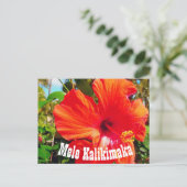 Carte postale Mele Kalikimaka (Debout devant)