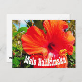Carte postale Mele Kalikimaka (Devant / Derrière)