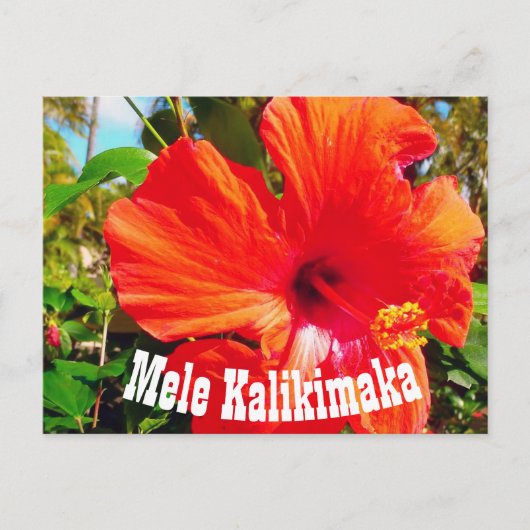 Carte postale Mele Kalikimaka (Devant)