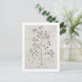 Carte Postale Melia Azedarach from 'phytographie medicale' by Jo (Debout devant)