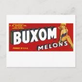 Carte Postale Mellons Buxom (Devant)