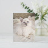 Carte Postale Mélodie (Debout devant)