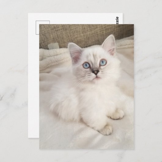 Carte Postale Mélodie (Devant / Derrière)