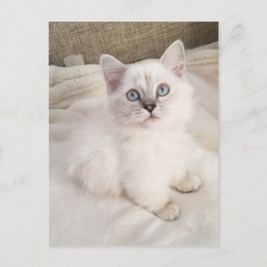 Carte Postale Mélodie (Devant)