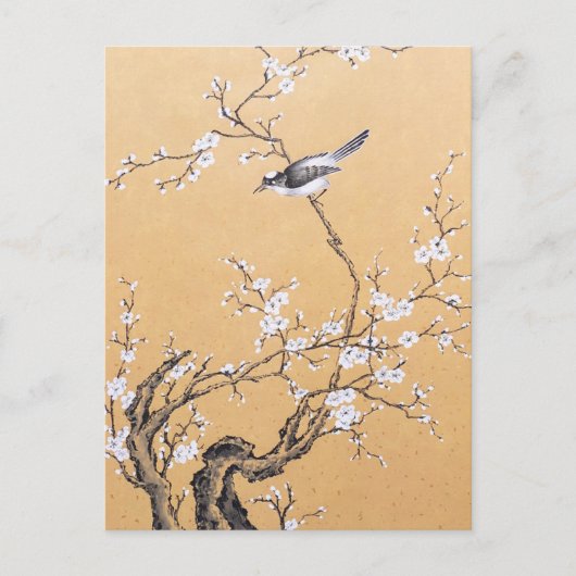 Carte Postale Melody Spring (Devant)