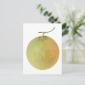 Carte Postale melon de musc entier (Debout devant)