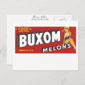 Carte Postale Melons Buxom (Devant / Derrière)