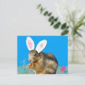 Carte postale Melvin Cottontail (Debout devant)