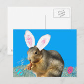 Carte postale Melvin Cottontail (Devant / Derrière)