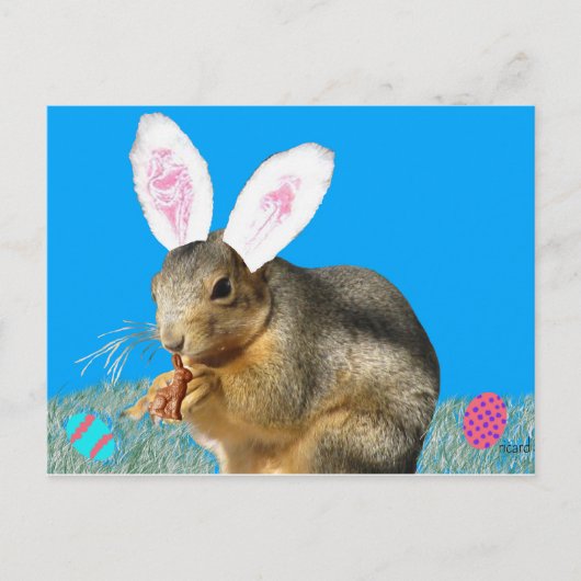 Carte postale Melvin Cottontail (Devant)