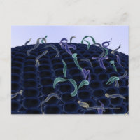 membrane cellulaire magnétisée