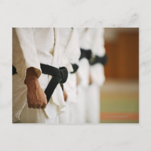 Carte Postale Membres d'un Judo Dojo Linked Up