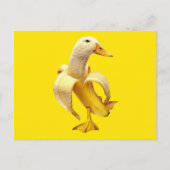 Carte postale Mème Canard Banane (Devant)