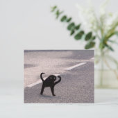 Carte postale Mème de Chat Maudit (Debout devant)
