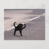 Carte postale Mème de Chat Maudit (Devant)