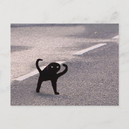 Carte postale Mème de Chat Maudit (Devant)