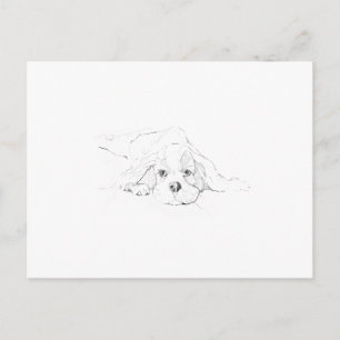 Carte Postale Mémoire de Cavalier King Charles Spaniel
