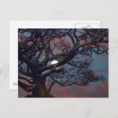 Carte Postale Mémoire de la Lune (Devant / Derrière)