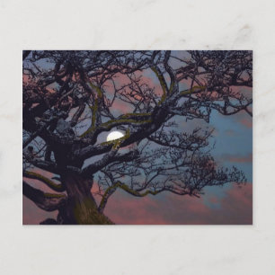 Carte Postale Mémoire de la Lune