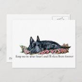 Carte Postale Mémoire de Scottish Terrier (Devant / Derrière)