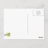 Carte Postale Mémoire d'Istanbul, Mosquée Soleymaniye 2 (Dos)