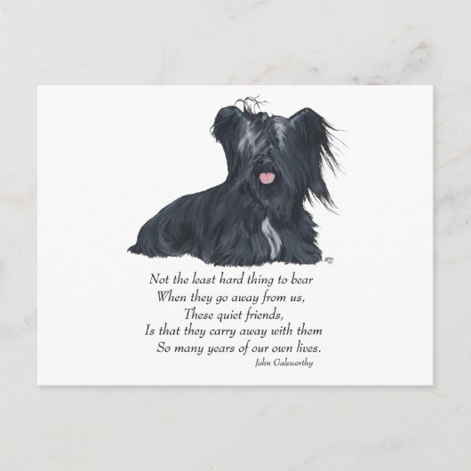 Carte Postale Mémoire Skye Terrier (Devant)