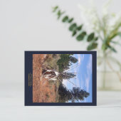 Carte Postale Mémoires du Prarie (Debout devant)