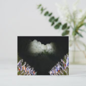 Carte Postale Mémorial du mont Rushmore - éclairage nocturne - (Debout devant)