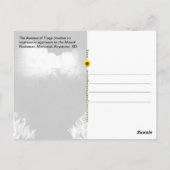 Carte Postale Mémorial du mont Rushmore - éclairage nocturne - (Dos)